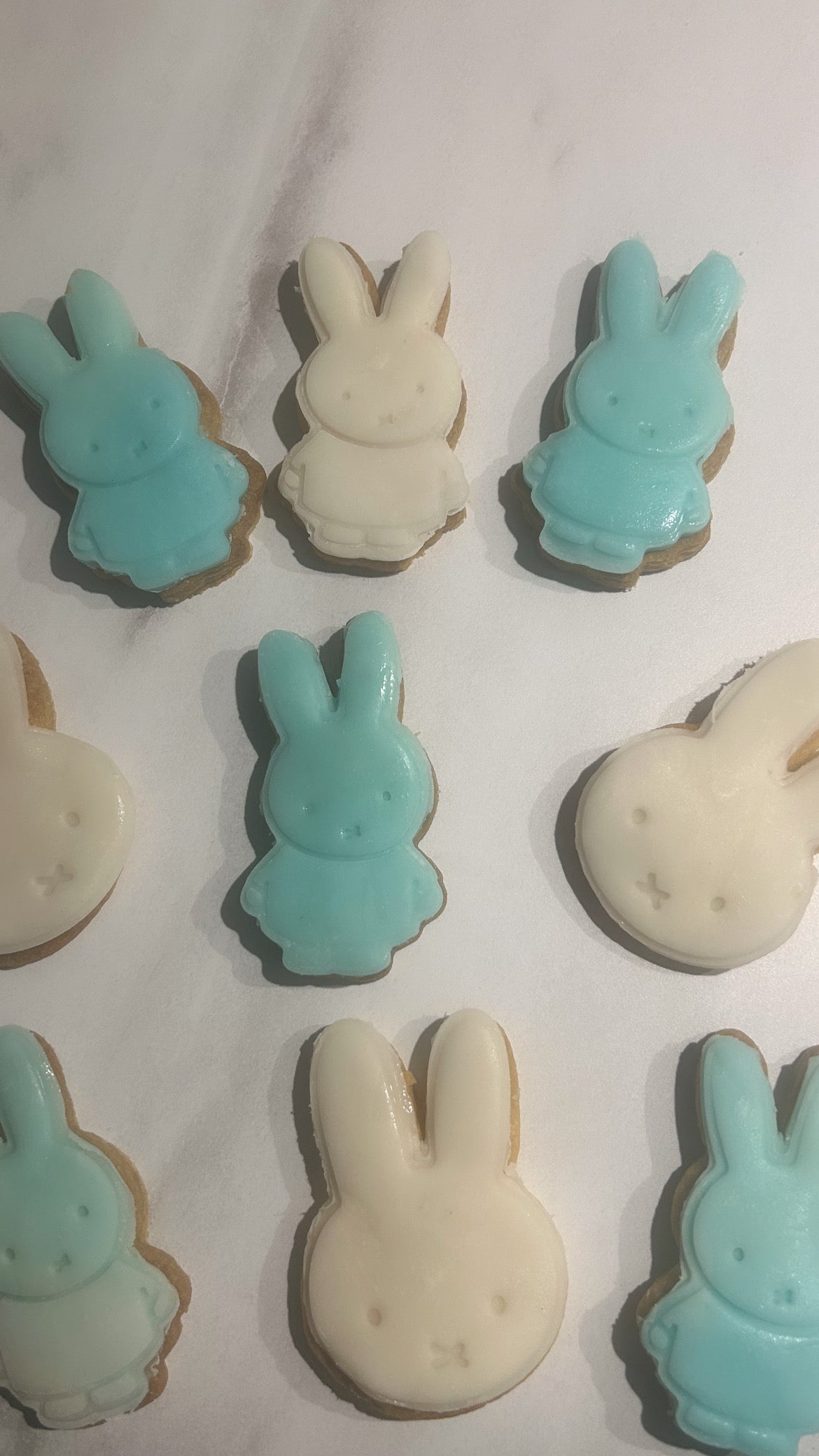 Koekjes - Nijntje
